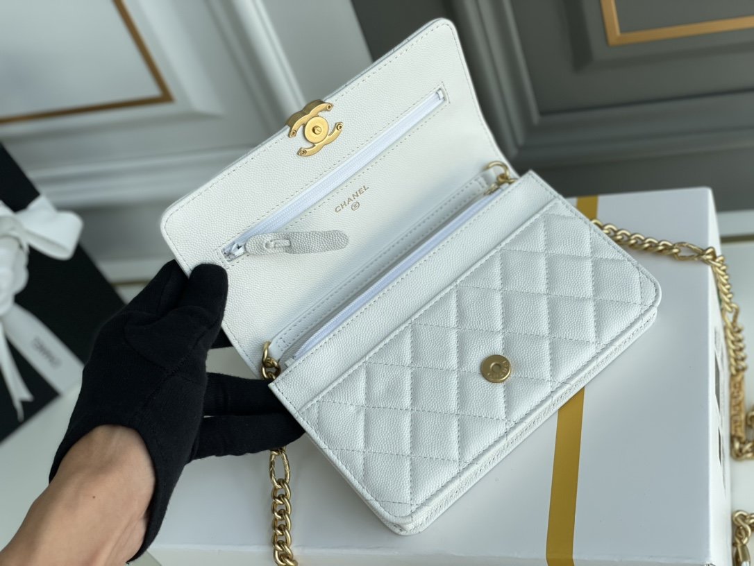 Chanel WOC Bags